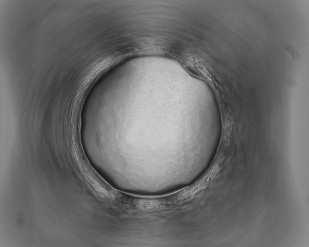 X0000112500145200908171317