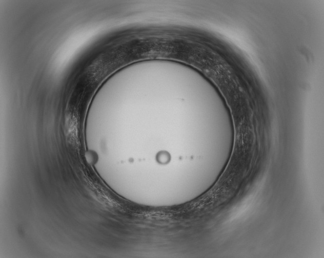 X0000112500146200908171317