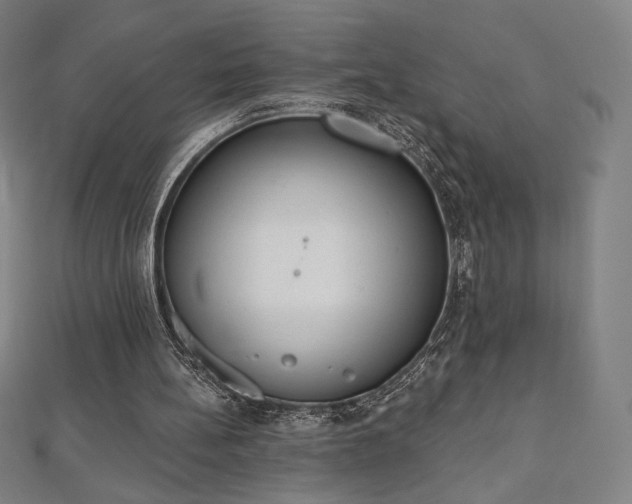 X0000112500148200908171317