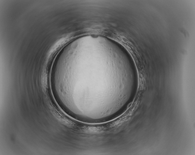 X0000112500149200908171317