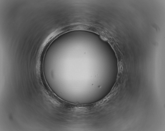 X0000112500150200908171317