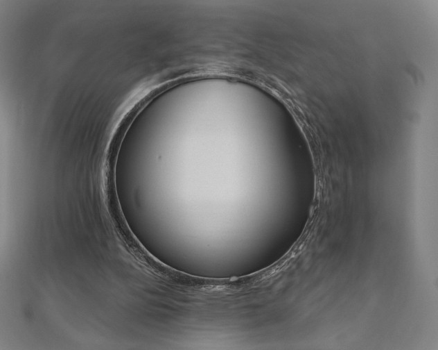 X0000112500152200908171317