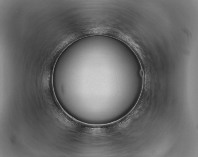 X0000112500153200908171317