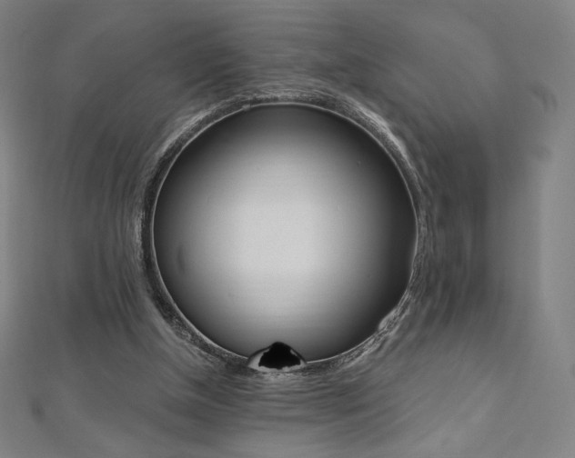 X0000112500154200908171317