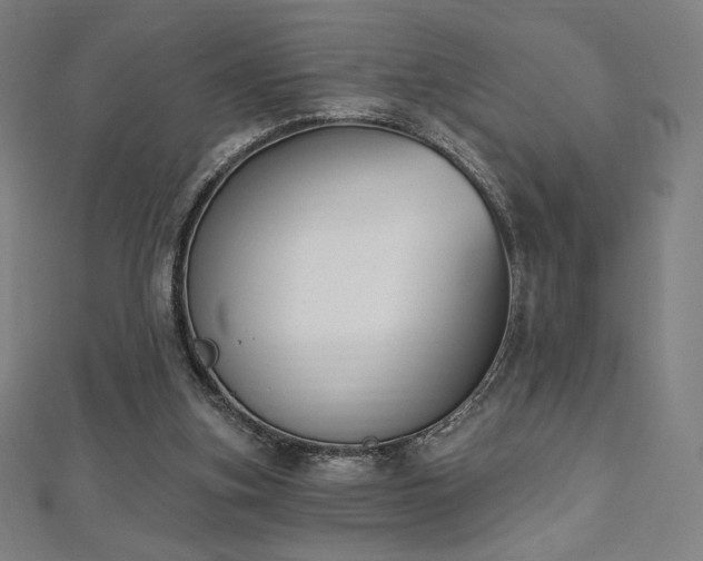 X0000112500155200908171317