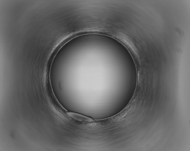 X0000112500156200908171317