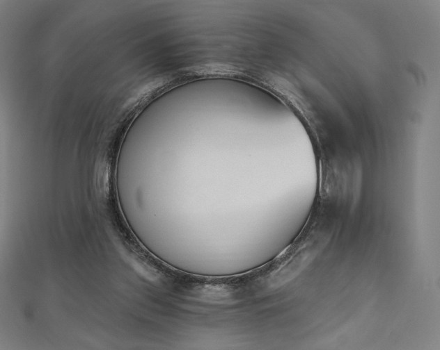 X0000112500157200908171317