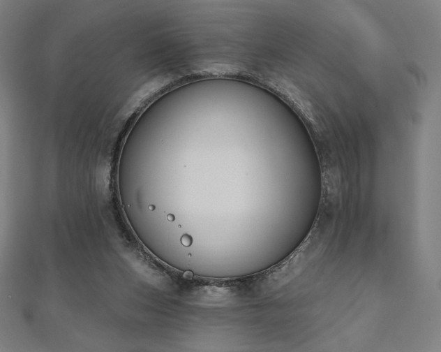 X0000112500159200908171317