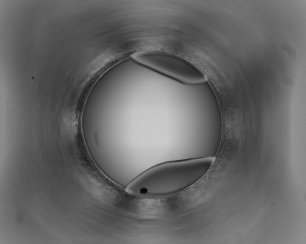 X0000112500160200908171317