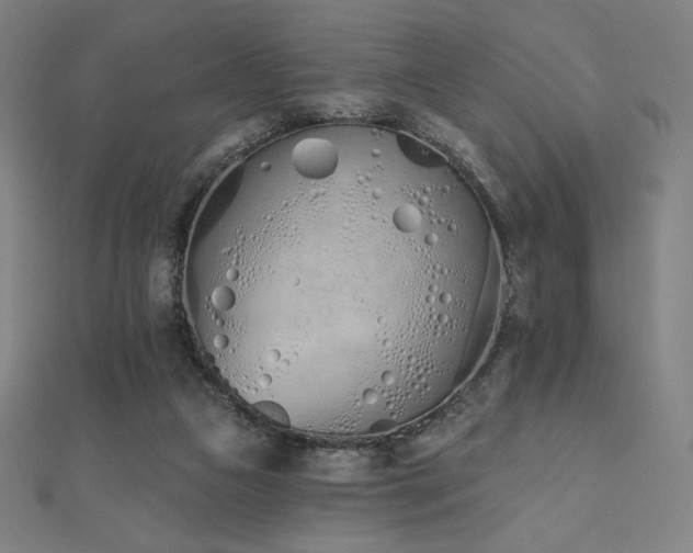 X0000112500161200908171317