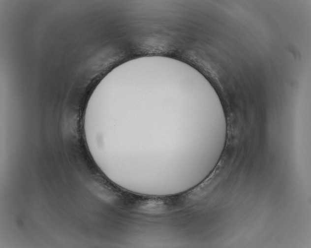 X0000112500162200908171317