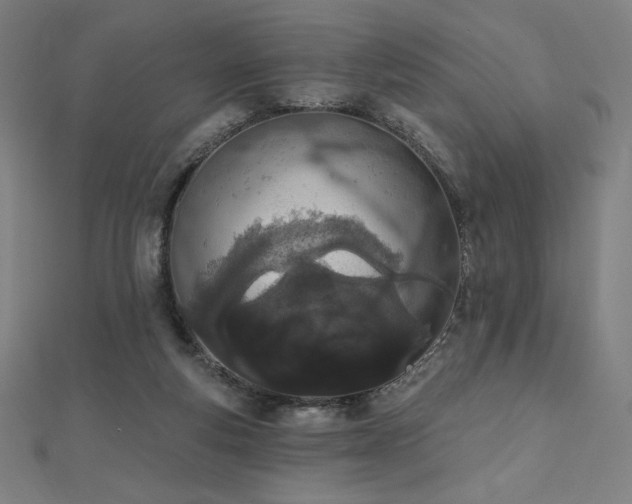 X0000112500163200908171317