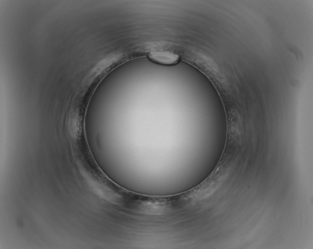 X0000112500164200908171317