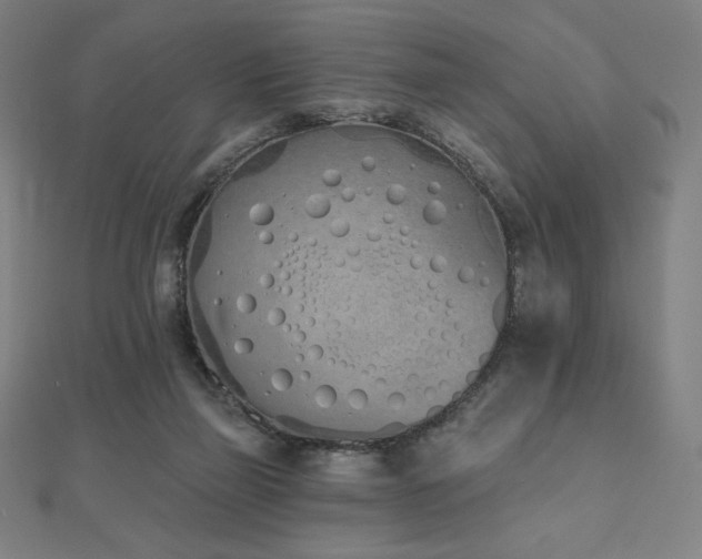 X0000112500165200908171317