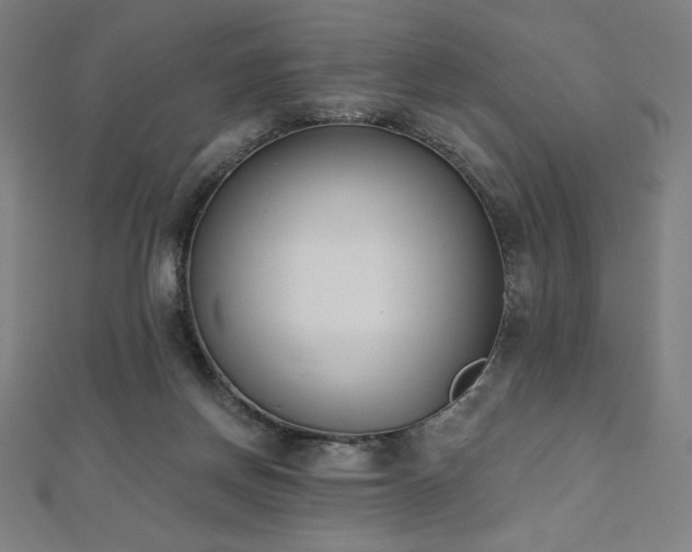 X0000112500166200908171317