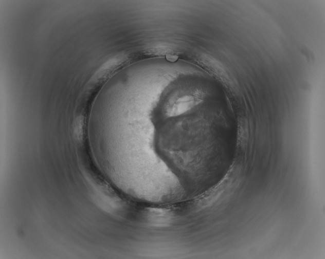 X0000112500167200908171317