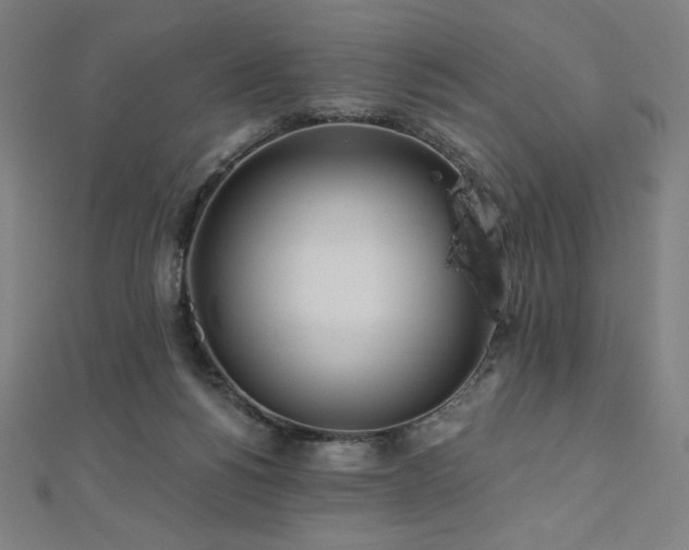 X0000112500168200908171317