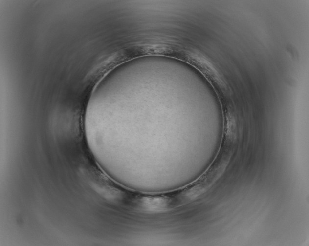 X0000112500169200908171317