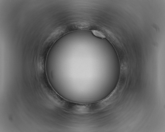 X0000112500170200908171317