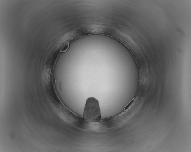 X0000112500171200908171317