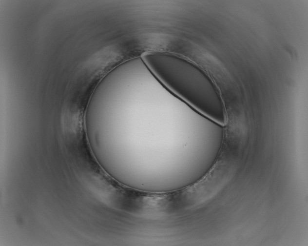 X0000112500172200908171317