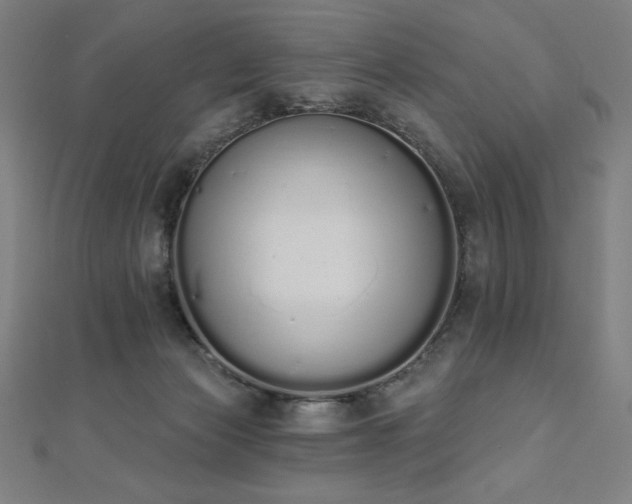 X0000112500173200908171317