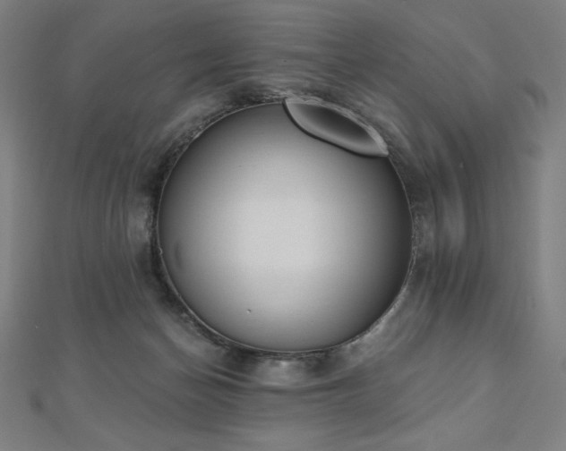 X0000112500174200908171317