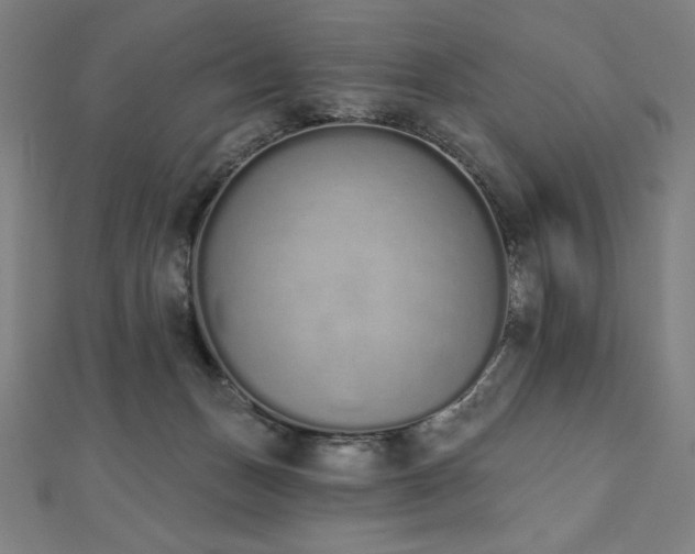 X0000112500175200908171317