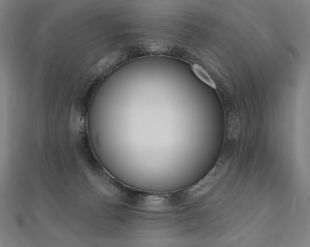 X0000112500176200908171317