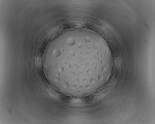 X0000112500177200908171317