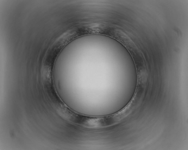 X0000112500178200908171317