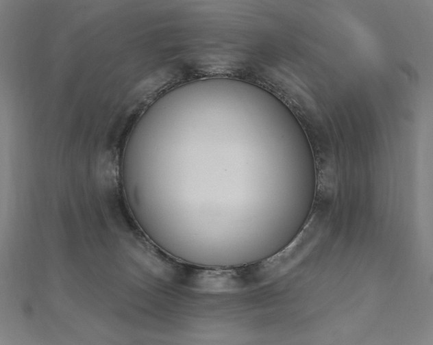 X0000112500179200908171317