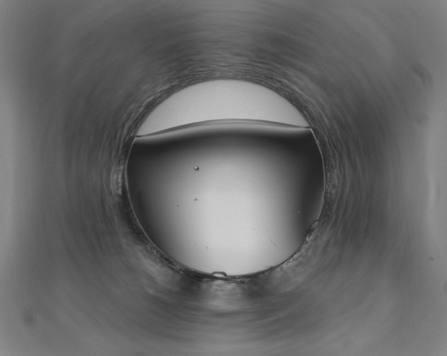 X0000112500180200908171317