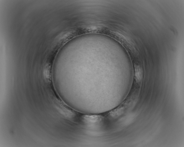 X0000112500181200908171317