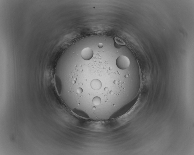 X0000112500182200908171317