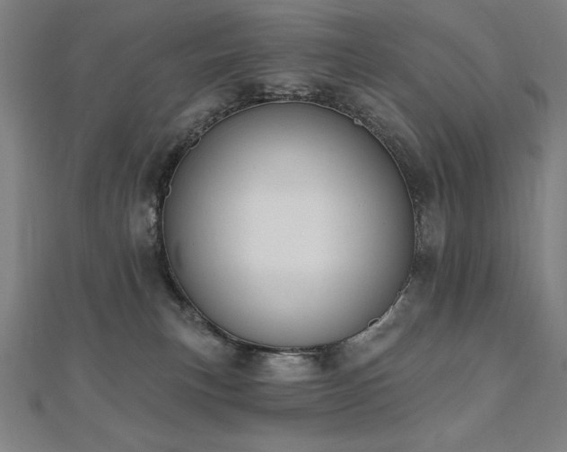 X0000112500183200908171317