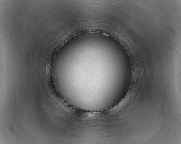 X0000112500184200908171317