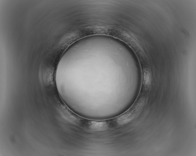 X0000112500185200908171317