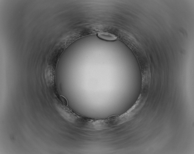 X0000112500186200908171317