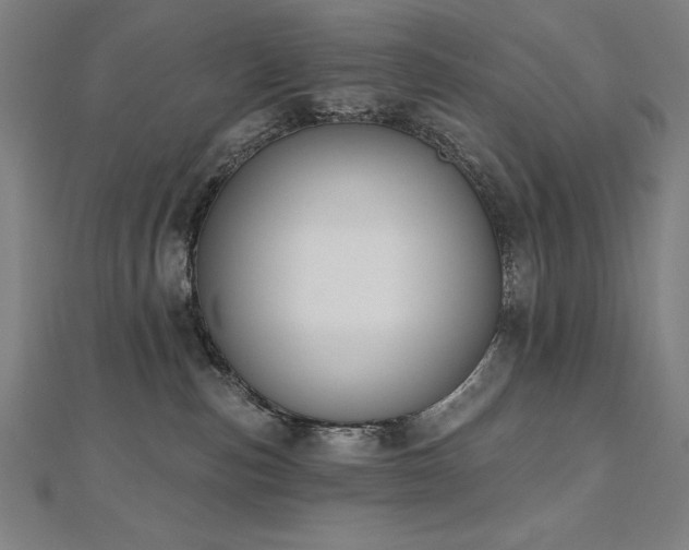 X0000112500187200908171317