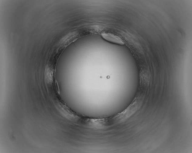 X0000112500188200908171317