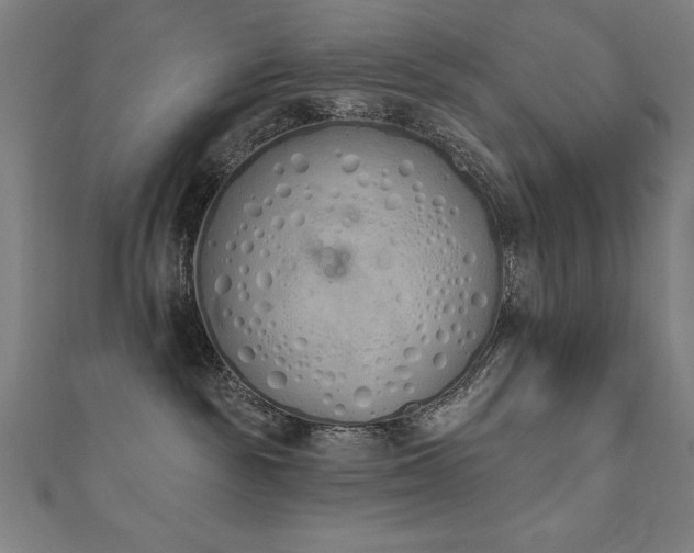 X0000112500189200908171317