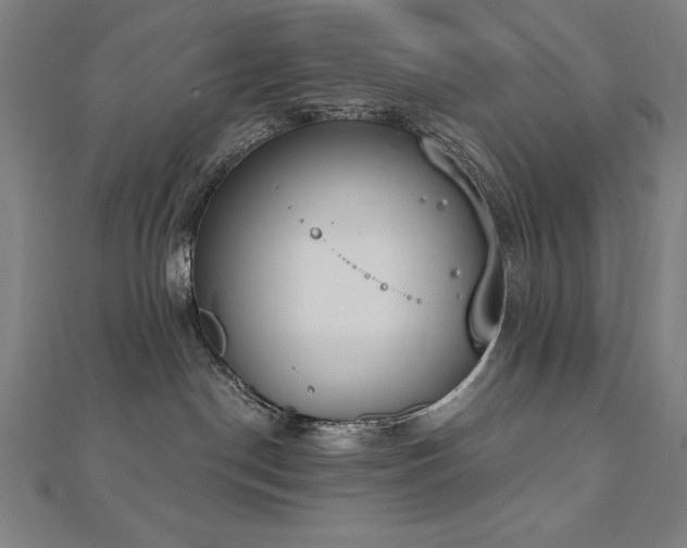 X0000112500190200908171317