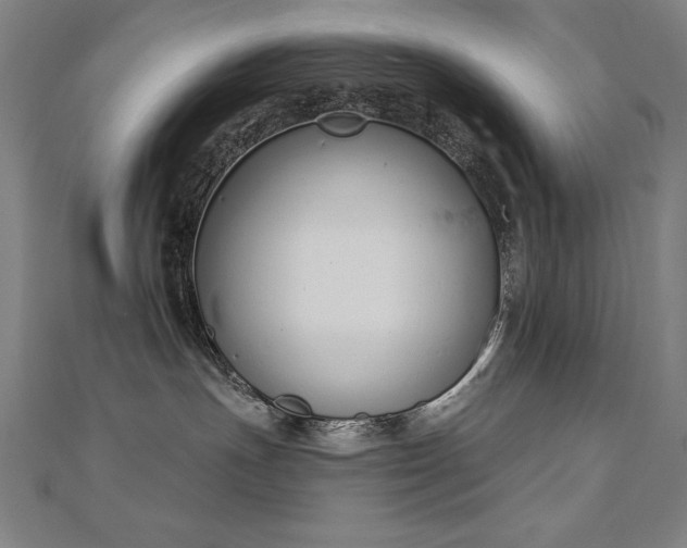 X0000112500191200908171317