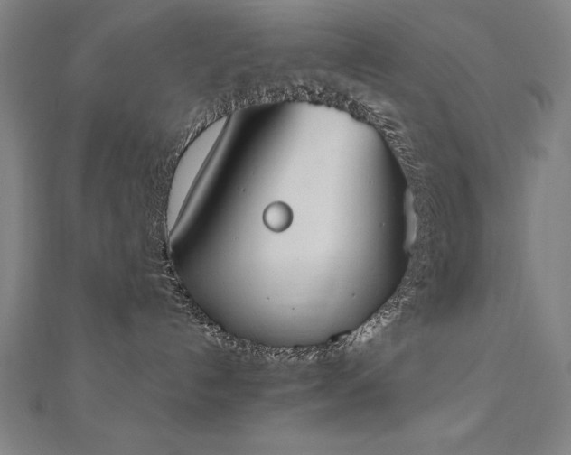 X0000112500192200908171317