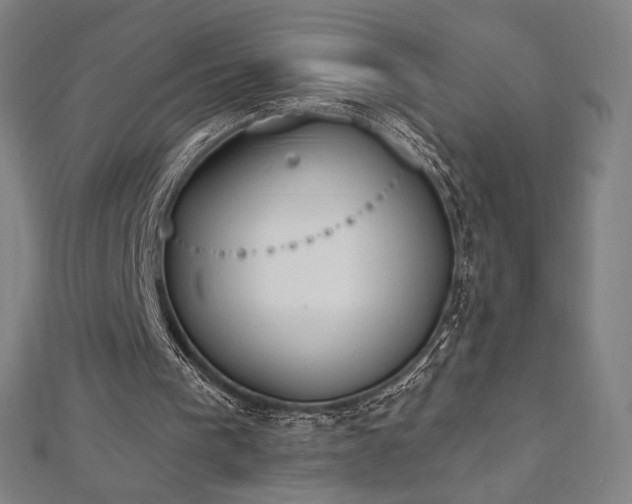 X0000112500193200908171317