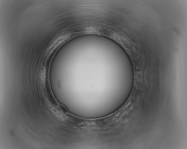 X0000112500194200908171317