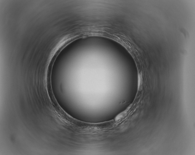 X0000112500195200908171317