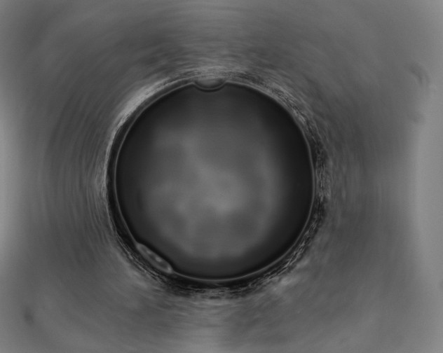 X0000112500196200908171317