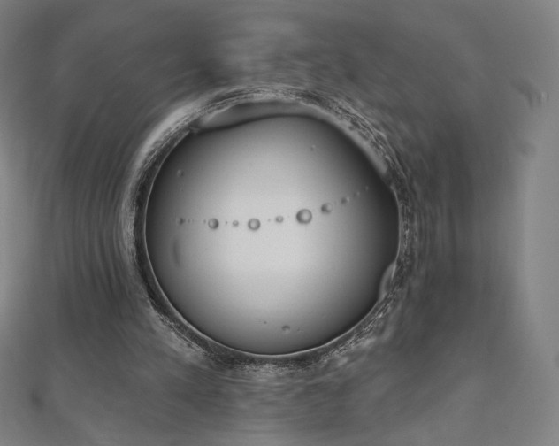 X0000112500197200908171317